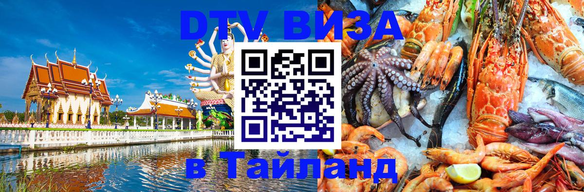 Оформление DTV визы под ключ: стоимость и тарифы, только загранпаспорт - 21.11.2025 